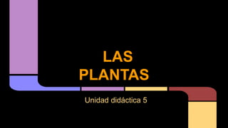 LAS
PLANTAS
Unidad didáctica 5

 