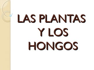 LAS PLANTASLAS PLANTAS
Y LOSY LOS
HONGOSHONGOS
 
