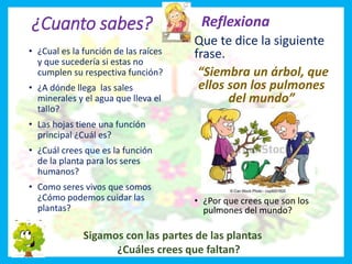 ¿Cuanto sabes?
• ¿Cual es la función de las raíces
y que sucedería si estas no
cumplen su respectiva función?
• ¿A dónde llega las sales
minerales y el agua que lleva el
tallo?
• Las hojas tiene una función
principal ¿Cuál es?
• ¿Cuál crees que es la función
de la planta para los seres
humanos?
• Como seres vivos que somos
¿Cómo podemos cuidar las
plantas?
Reflexiona
Que te dice la siguiente
frase.
“Siembra un árbol, que
ellos son los pulmones
del mundo”
• ¿Por que crees que son los
pulmones del mundo?
Sigamos con las partes de las plantas
¿Cuáles crees que faltan?
 