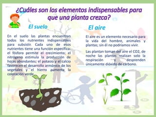 El suelo
En el suelo las plantas encuentran
todos los nutrientes indispensables
para subsistir. Cada uno de esos
nutrientes tiene una función específica:
el fósforo permite el crecimiento; el
nitrógeno estimula la producción de
hojas abundantes; el potasio y el calcio
favorecen el desarrollo armónico de los
vegetales y el hierro aumenta la
coloración verde.
El aire
El aire es un elemento necesario para
la vida del hombre, animales y
plantas; sin él no podríamos vivir.
Las plantan toman del aire el CO2, de
noche las plantas realizan solo la
respiración y desprenden
únicamente dióxido de carbono.
 