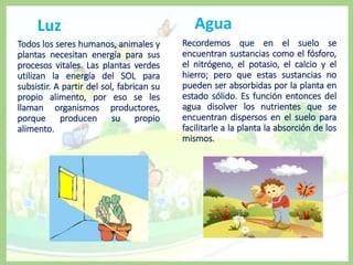 Luz
Todos los seres humanos, animales y
plantas necesitan energía para sus
procesos vitales. Las plantas verdes
utilizan la energía del SOL para
subsistir. A partir del sol, fabrican su
propio alimento, por eso se les
llaman organismos productores,
porque producen su propio
alimento.
Agua
Recordemos que en el suelo se
encuentran sustancias como el fósforo,
el nitrógeno, el potasio, el calcio y el
hierro; pero que estas sustancias no
pueden ser absorbidas por la planta en
estado sólido. Es función entonces del
agua disolver los nutrientes que se
encuentran dispersos en el suelo para
facilitarle a la planta la absorción de los
mismos.
 
