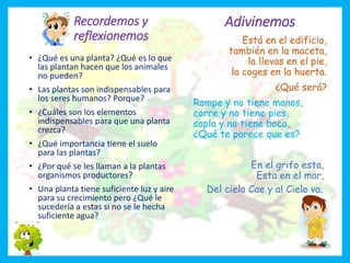 Recordemos y
reflexionemos
• ¿Qué es una planta? ¿Qué es lo que
las plantan hacen que los animales
no pueden?
• Las plantas son indispensables para
los seres humanos? Porque?
• ¿Cuáles son los elementos
indispensables para que una planta
crezca?
• ¿Qué importancia tiene el suelo
para las plantas?
• ¿Por qué se les llaman a la plantas
organismos productores?
• Una planta tiene suficiente luz y aire
para su crecimiento pero ¿Qué le
sucedería a estas si no se le hecha
suficiente agua?
Adivinemos
Está en el edificio,
también en la maceta,
la llevas en el pie,
la coges en la huerta.
¿Qué será?
Rompe y no tiene manos,
corre y no tiene pies,
sopla y no tiene boca,
¿Qué te parece que es?
En el grifo esta,
Esta en el mar,
Del cielo Cae y al Cielo va.
 
