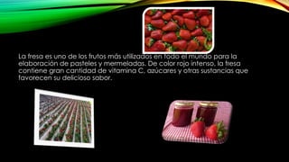 La fresa es uno de los frutos más utilizados en todo el mundo para la
elaboración de pasteles y mermeladas. De color rojo intenso, la fresa
contiene gran cantidad de vitamina C, azúcares y otras sustancias que
favorecen su delicioso sabor.
 