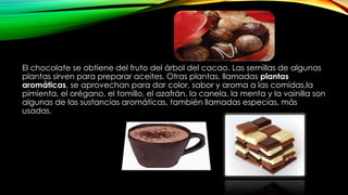 El chocolate se obtiene del fruto del árbol del cacao. Las semillas de algunas
plantas sirven para preparar aceites. Otras plantas, llamadas plantas
aromáticas, se aprovechan para dar color, sabor y aroma a las comidas,la
pimienta, el orégano, el tomillo, el azafrán, la canela, la menta y la vainilla son
algunas de las sustancias aromáticas, también llamadas especias, más
usadas.
 
