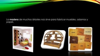 La madera de muchos árboles nos sirve para fabricar muebles, adornos y
papel.
 