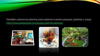 También usamos las plantas para adornar nuestros parques, jardines y casas.
http://www.pequered.com/juego-plantar-plantas/
 