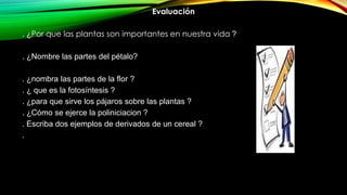 Evaluación
. ¿Por que las plantas son importantes en nuestra vida ?
. ¿Nombre las partes del pétalo?
. ¿nombra las partes de la flor ?
. ¿ que es la fotosíntesis ?
. ¿para que sirve los pájaros sobre las plantas ?
. ¿Cómo se ejerce la poliniciacion ?
. Escriba dos ejemplos de derivados de un cereal ?
.
 