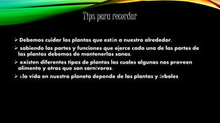 Tips para recordar
 Debemos cuidar las plantas que están a nuestro alrededor.
 sabiendo las partes y funciones que ejerce cada una de las partes de
las plantas debemos de mantenerlas sanas.
 existen diferentes tipos de plantas las cuales algunas nos proveen
alimento y otras que son carnívoras.
 ¿la vida en nuestro planeta depende de las plantas y árboles
 