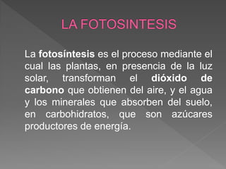 La fotosíntesis es el proceso mediante el
cual las plantas, en presencia de la luz
solar, transforman el dióxido de
carbono que obtienen del aire, y el agua
y los minerales que absorben del suelo,
en carbohidratos, que son azúcares
productores de energía.
 