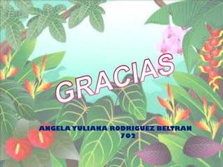 ANGELAYULIANA RODRIGUEZ BELTRAN
702
 