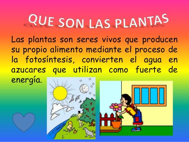 Las Plantas