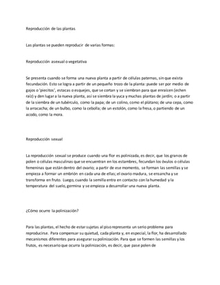 Reproducción de las plantas 
Las plantas se pueden reproducir de varias formas: 
Reproducción asexual o vegetativa 
Se presenta cuando se forma una nueva planta a partir de células paternas, sin que exista 
fecundación. Esto se logra a partir de un pequeño trozo de la planta: puede ser por medio de 
gajos o ‘piecitos’, estacas o esquejes, que se cortan y se siembran para que enraícen (echen 
raíz) y den lugar a la nueva planta, así se siembra la yuca y muchas plantas de jardín; o a partir 
de la siembra de un tubérculo, como la papa; de un colino, como el plátano; de una cepa, como 
la arracacha; de un bulbo, como la cebolla; de un estolón, como la fresa, o partiendo de un 
acodo, como la mora. 
Reproducción sexual 
La reproducción sexual se produce cuando una flor es polinizada, es decir, que los granos de 
polen o células masculinas que se encuentran en los estambres, fecundan los óvulos o células 
femeninas que están dentro del ovario; a partir de ese momento, se forman las semillas y se 
empieza a formar un embrión en cada una de ellas; el ovario madura, se ensancha y se 
transforma en fruto. Luego, cuando la semilla entra en contacto con la humedad y la 
temperatura del suelo, germina y se empieza a desarrollar una nueva planta. 
¿Cómo ocurre la polinización? 
Para las plantas, el hecho de estar sujetas al piso representa un serio problema para 
reproducirse. Para compensar su quietud, cada planta y, en especial, la flor, ha desarrollado 
mecanismos diferentes para asegurar su polinización. Para que se formen las semillas y los 
frutos, es necesario que ocurra la polinización, es decir, que pase polen de 
