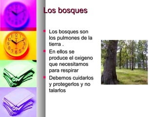 LLooss bboossqquueess 
 LLooss bboossqquueess ssoonn 
llooss ppuullmmoonneess ddee llaa 
ttiieerrrraa .. 
 EEnn eellllooss ssee 
pprroodduuccee eell ooxxiiggeennoo 
qquuee nneecceessiittaammooss 
ppaarraa rreessppiirraarr 
 DDeebbeemmooss ccuuiiddaarrllooss 
yy pprrootteeggeerrllooss yy nnoo 
ttaallaarrllooss 
 