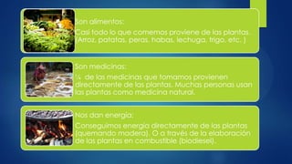 Son alimentos:
Casi todo lo que comemos proviene de las plantas.
(Arroz, patatas, peras, habas, lechuga, trigo, etc. )
Son medicinas:
¼ de las medicinas que tomamos provienen
directamente de las plantas. Muchas personas usan
las plantas como medicina natural.
Nos dan energía:
Conseguimos energía directamente de las plantas
(quemando madera). O a través de la elaboración
de las plantas en combustible (biodiesel).
 