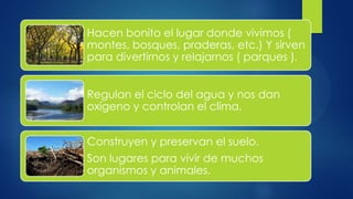 Hacen bonito el lugar donde vivimos (
montes, bosques, praderas, etc.) Y sirven
para divertirnos y relajarnos ( parques ).
Regulan el ciclo del agua y nos dan
oxígeno y controlan el clima.
Construyen y preservan el suelo.
Son lugares para vivir de muchos
organismos y animales.
 
