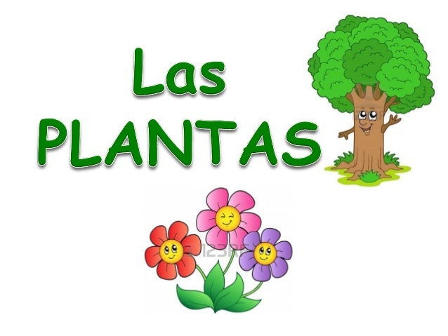 Resultado de imagen de LAS PLANTAS