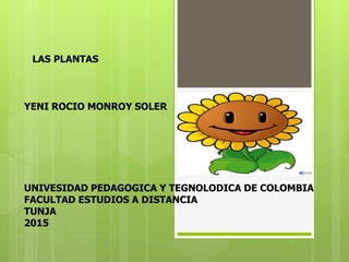LAS PLANTAS
YENI ROCIO MONROY SOLER
UNIVESIDAD PEDAGOGICA Y TEGNOLODICA DE COLOMBIA
FACULTAD ESTUDIOS A DISTANCIA
TUNJA
2015
 