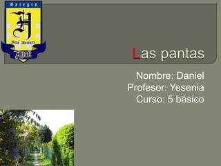 Nombre: Daniel
Profesor: Yesenia
Curso: 5 básico