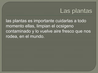 las plantas es importante cuidarlas a todo
momento ellas, limpian el ocsigeno
contaminado y lo vuelve aire fresco que nos
rodea, en el mundo.