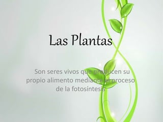 Las Plantas
Son seres vivos que producen su
propio alimento mediante el proceso
de la fotosíntesis
 