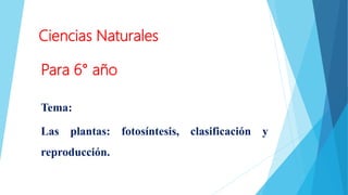 Ciencias Naturales
Para 6° año
Tema:
Las plantas: fotosíntesis, clasificación y
reproducción.
 