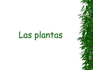 Las plantas
 