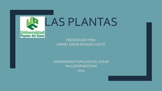 LAS PLANTAS
PRESENTADO POR:
DANIEL DAVID ROSADO CUETO
UNIVERSIDAD POPULAR DEL CESAR
VALLEDUPAR/CESAR
2019
 