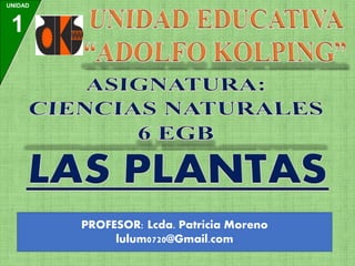 UNIDAD
1
PROFESOR: Lcda. Patricia Moreno
lulum0720@Gmail.com
 