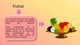 frutos
Los frutos son la parte de la planta
que contiene y protege a las semillas
hasta que maduran.
Como consecuencia de la
fecundación de la flor, ésta pierde
algunas partes de su estructura
para transformarse en un
fruto. Puede haber frutos de
distintas formas y tamaños.
 