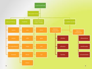 LAS PLANTAS
CICLO VITAL
nacen
crecen
se reproducen
mueren
PARTES
raíz
tallo
hojas
flores
frutos
NECESITAN
PARA VIVIR
tierra
agua
aire
sol
CLASIFICACIÓN
POR SU
TAMAÑO
árboles
arbustos
hierbas
POR SU
UTILIDAD
alimenticias
medicinales
ornamentales
Son seres vivos
 