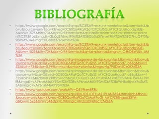 • https://www.google.com/search?q=qu%C3%A9+es+un+mentefacto&tbm=isch&tb
o=u&source=univ&sa=X&ved=0CB0QsARqFQoTCKClofSQ_MYCFQUsHgodg5QE-
A&biw=1525&bih=734&dpr=0.9#tbm=isch&q=clasificacion+de+las+plantas+para+
ni%C3%B1os&imgdii=Gb0d376nxrt9fM%3A%3BGb0d376nxrt9fM%3A%3BO7HcQ9T0Tp
98mM%3A&imgrc=Gb0d376nxrt9fM%3A
• https://www.google.com/search?q=qu%C3%A9+es+un+mentefacto&tbm=isch&tb
o=u&source=univ&sa=X&ved=0CB0QsARqFQoTCKClofSQ_MYCFQUsHgodg5QE-
A&biw=1525&bih=734&dpr=0.9#tbm=isch&q=las+plantas&imgrc=_C4kOBWULk_izM
%3A
• https://www.google.com/search?q=imagenes+de+las+plantas&tbm=isch&tbo=u&
source=univ&sa=X&ved=0CB0QsARqFQoTCPuSjsSS_MYCFQaoHgod7_oB6g&biw=1
525&bih=734&dpr=0.9#tbm=isch&q=las+plantas&imgrc=lg79UDkn5Ce3XM%3A
• https://www.google.com/search?q=imagenes+de+las+plantas&tbm=isch&tbo=u&
source=univ&sa=X&ved=0CB0QsARqFQoTCPuSjsSS_MYCFQaoHgod7_oB6g&biw=1
525&bih=734&dpr=0.9#tbm=isch&q=LO+QUE+LAS+PLANTAS+NECESITAN+PARA+VIV
IR&imgdii=vA96nxM46XY93M%3A%3BvA96nxM46XY93M%3A%3BsWNBbUjn449aZM%
3A&imgrc=vA96nxM46XY93M%3A
• https://www.youtube.com/watch?v=Q519ken8F3U
• https://www.google.com/search?q=DIBUJOS+DE+LAS+PLANTAS&tbm=isch&tbo=u
&source=univ&sa=X&ved=0CB0QsARqFQoTCMqK9cGj_MYCFZE8Hgod33YA-
g&biw=1525&bih=734&dpr=0.9#imgrc=KrOzaDNshsctcM%3A
 
