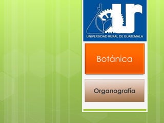 Botánica
Organografía
 