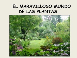 EL MARAVILLOSO MUNDO
   DE LAS PLANTAS
 