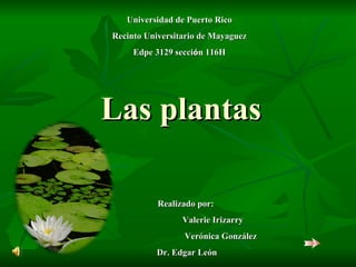 Las plantas Realizado por:  Valerie Irizarry  Verónica González Dr. Edgar León Universidad de Puerto Rico Recinto Universitario de Mayaguez Edpe 3129 secci ó n 116H 