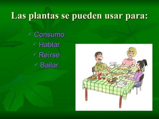Las plantas se pueden usar para: Consumo Hablar Reírse Bailar 
