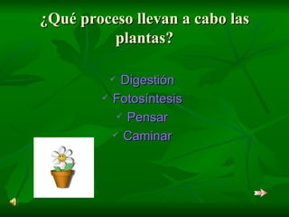 ¿Qué proceso llevan a cabo las plantas? Digestión Fotosíntesis Pensar Caminar 