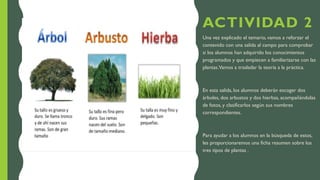 ACTIVIDAD 2
Una vez explicado el temario, vamos a reforzar el
contenido con una salida al campo para comprobar
si los alumnos han adquirido los conocimientos
programados y que empiecen a familiarizarse con las
plantas.Vamos a trasladar la teoría a la práctica.
En esta salida, los alumnos deberán escoger dos
árboles, dos arbustos y dos hierbas, acompañándolas
de fotos, y clasificarlos según sus nombres
correspondientes.
Para ayudar a los alumnos en la búsqueda de estos,
les proporcionaremos una ficha resumen sobre los
tres tipos de plantas .
 