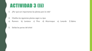 ACTIVIDAD 3 (Ii)
3. ¿Por qué son importantes las plantas para la vida?
4. Clasifica las siguientes plantas según su tipo:
a) Romero b) Lentisco c) Pino d) Alcornoque e) Lavanda f) Sabina
5. Señala las partes del árbol
 