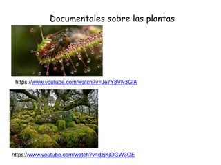 Documentales sobre las plantas
https://www.youtube.com/watch?v=Je7Y8VN3GlA
https://www.youtube.com/watch?v=dzjKjOGW3OE
 