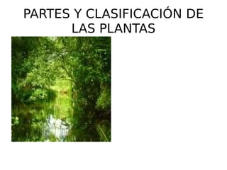 PARTES Y CLASIFICACIÓN DE LAS PLANTAS 