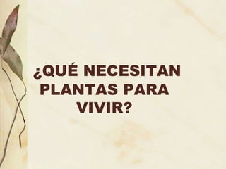 ¿QUÉ NECESITAN PLANTAS PARA VIVIR? 