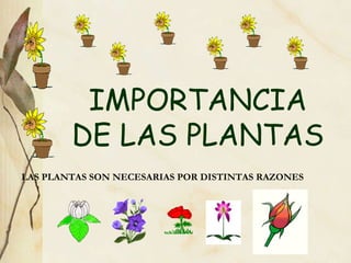 IMPORTANCIA DE LAS PLANTAS LAS PLANTAS SON NECESARIAS POR DISTINTAS RAZONES 