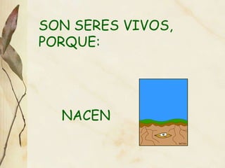 SON SERES VIVOS, PORQUE: NACEN   