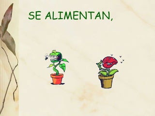 SE ALIMENTAN, 