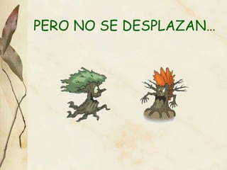 PERO NO SE DESPLAZAN… 
