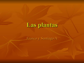 Las plantas Franco y Santiago A 
