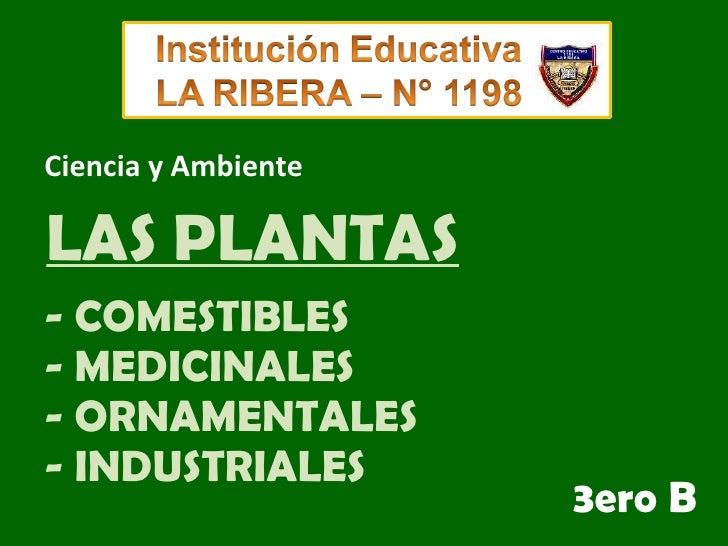 Las Plantas Primaria Ie N 1198 La Ribera Aula De Innovaciones P