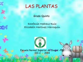 LAS PLANTAS
Grado Quinto
Estefanía Medrano Ruiz
Elizabeth Martínez Marroquín
Escuela Normal Superior de Ibagué -PFC
III-C - 2014
 