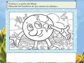 •Colorea y a partir del dibujo
•Describe los beneficios de que existan las plantas ..
 