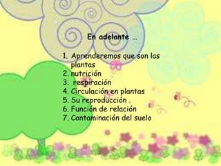 En adelante …
1. Aprenderemos que son las
plantas
2. nutrición
3. respiración
4. Circulación en plantas
5. Su reproducción .
6. Función de relación
7. Contaminación del suelo
 
